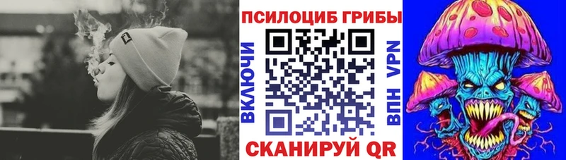 Псилоцибиновые грибы прущие грибы  гидра ССЫЛКА  Гусь-Хрустальный 
